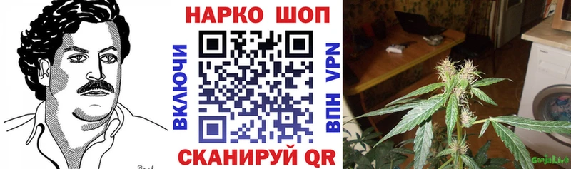 Купить наркотики сайты Батайск Alpha-PVP  МАРИХУАНА  Меф мяу мяу  ГАШ  Кокаин 