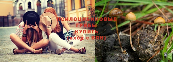 2c-b Вязьма